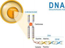 Discovery through DNA